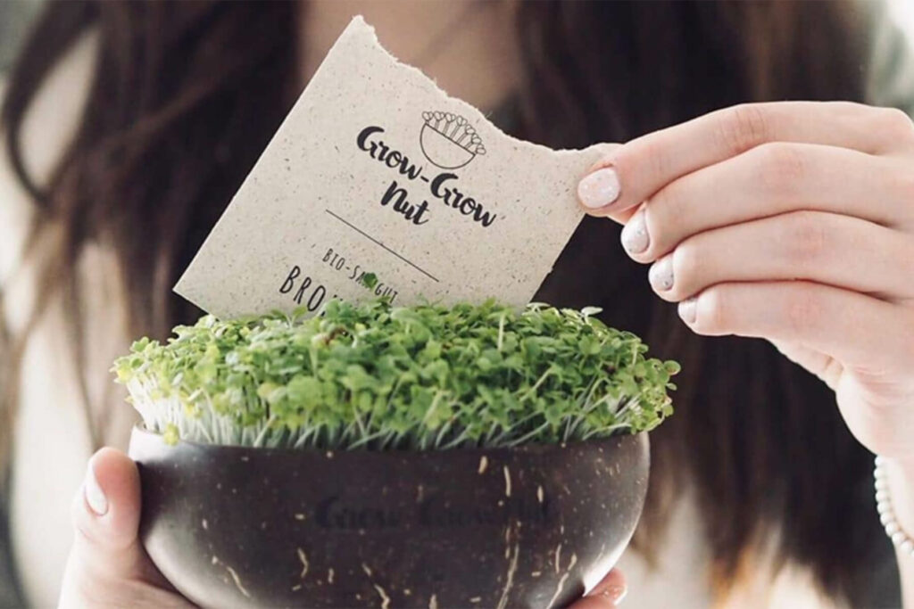 Grow-Grow Nut: Microgreens aus der Kokosnussschale
