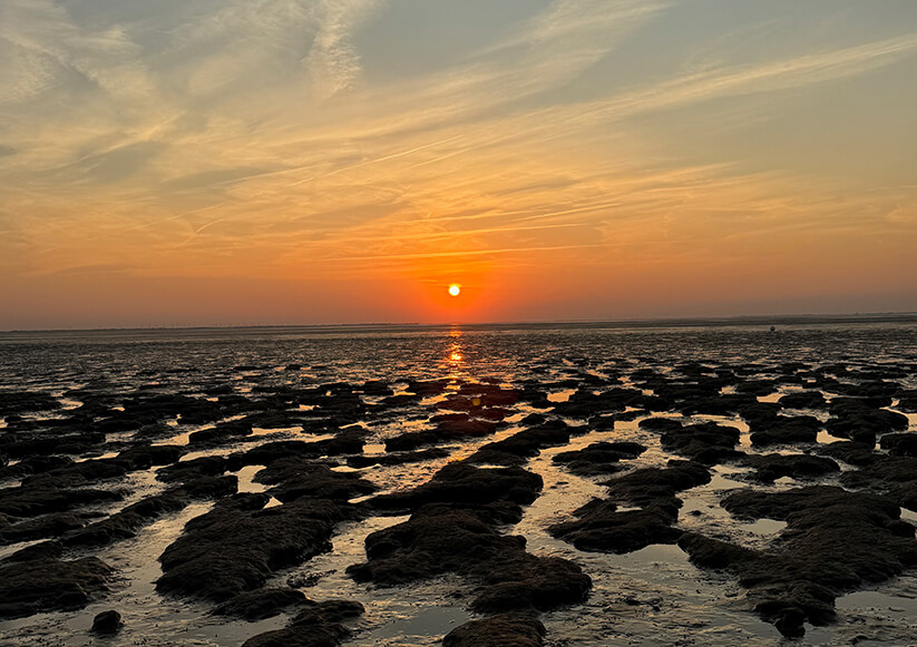 Jahresrückblick 2024: Sonnenuntergang in Sehestedt.