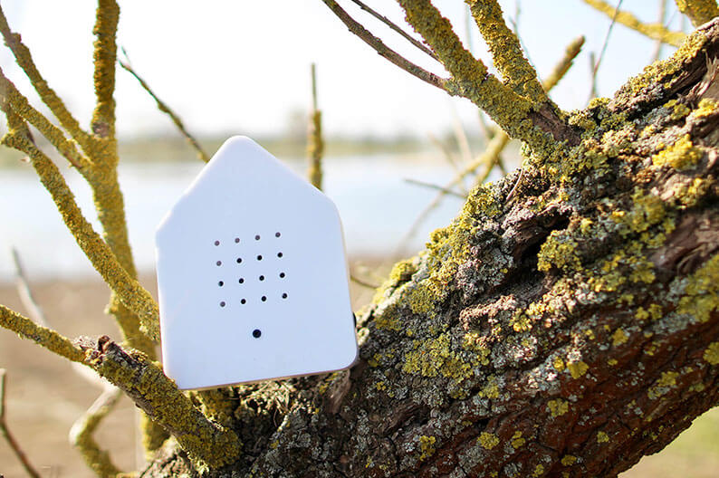 Die Zwitscherbox sorgt zu jeder Zeit für Frühlingsgefühle dank Vogelgezwitscher.