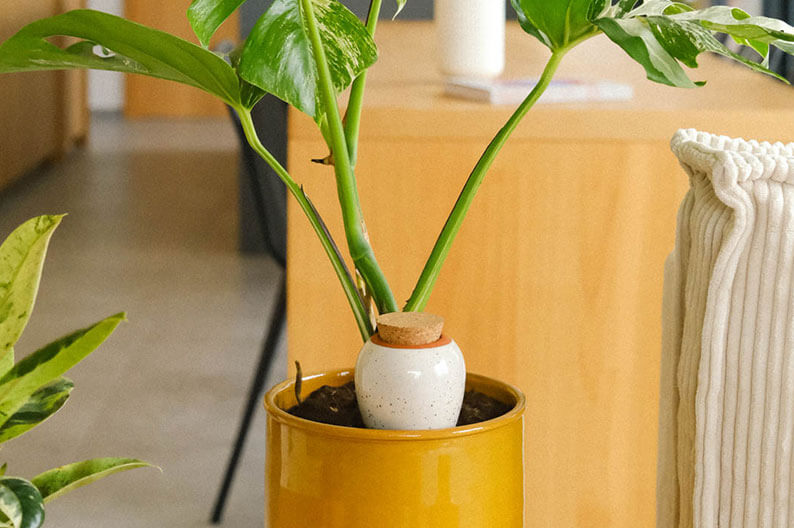 21 Geschenkidee Pepin Olla Olla von Pepin als besondere Geschenkidee